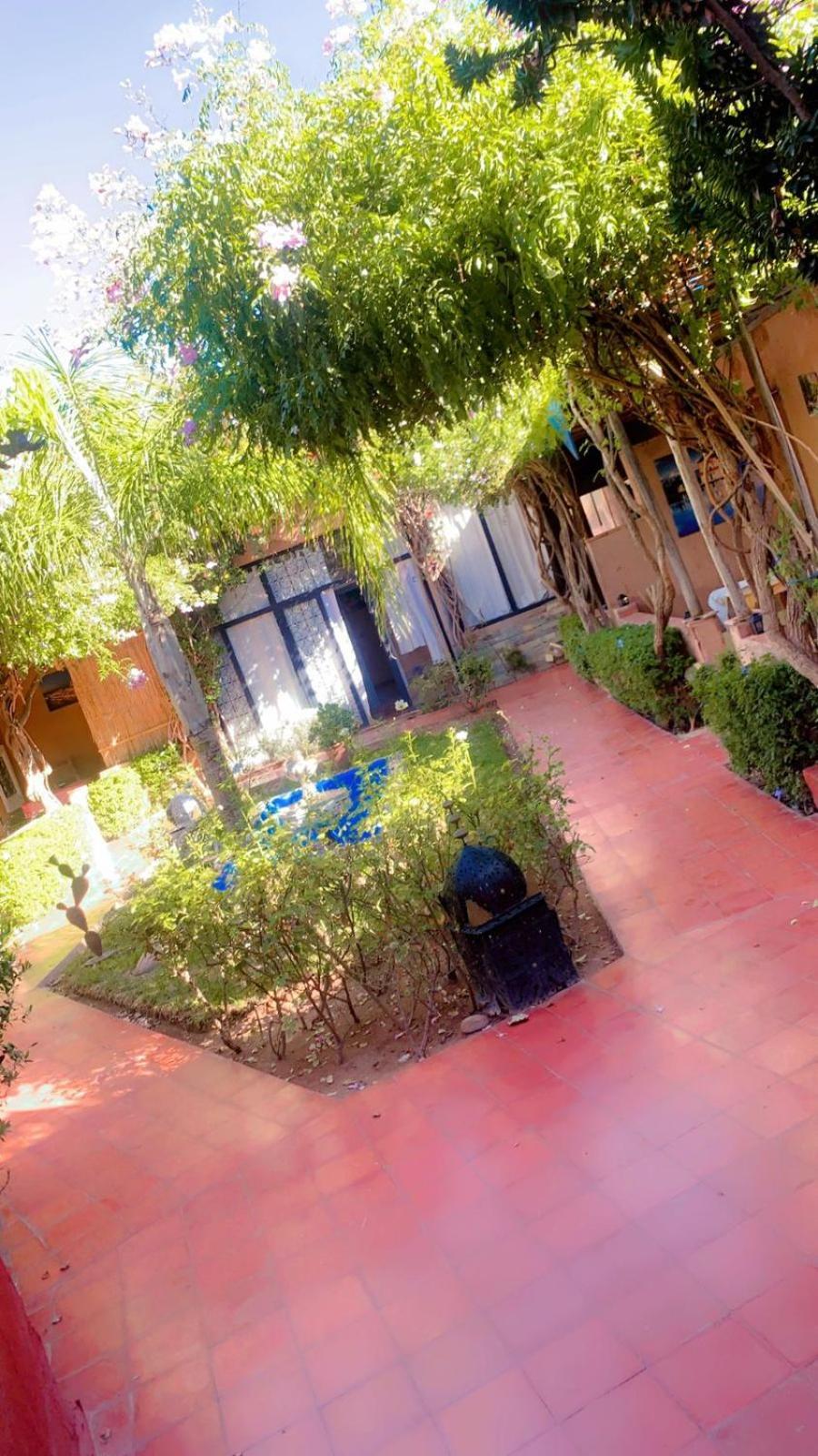 Maison Alphea Spa Hammam Aït Hamid Dış mekan fotoğraf